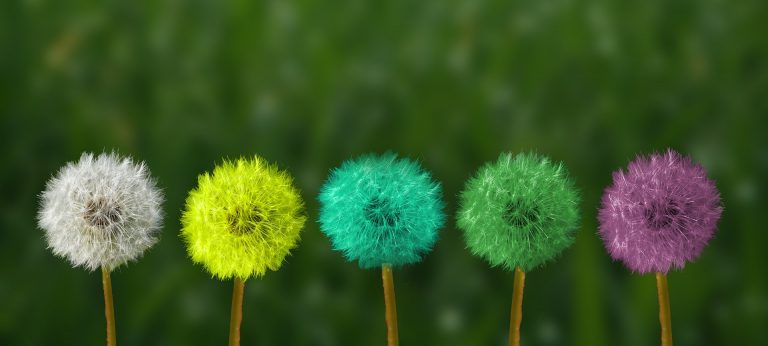 Being a Diasporic Academic – Identities in Flux