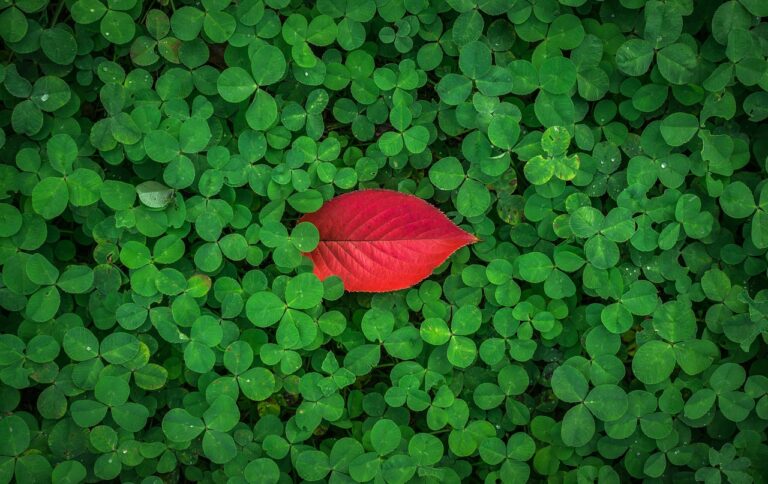 Planned Happenstance – How to Make your Own Career Luck