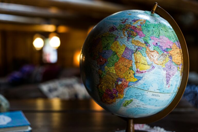 Embracing the Journey of an International Professional